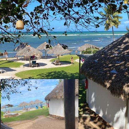 Pousada Farol Das Tartarugas Praia do Forte Kültér fotó