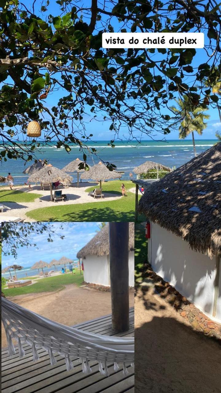 Pousada Farol Das Tartarugas Praia do Forte Kültér fotó