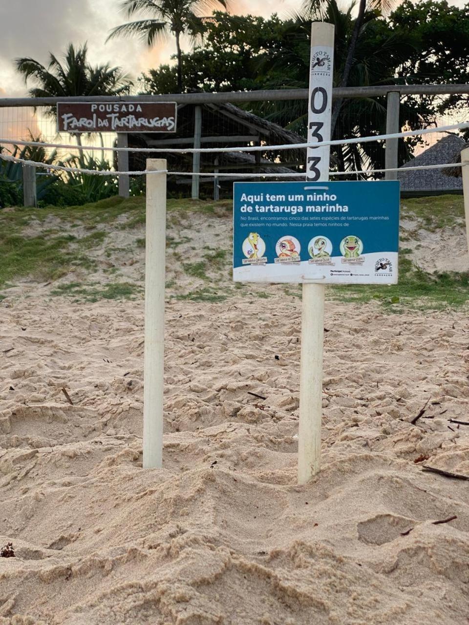 Pousada Farol Das Tartarugas Praia do Forte Kültér fotó